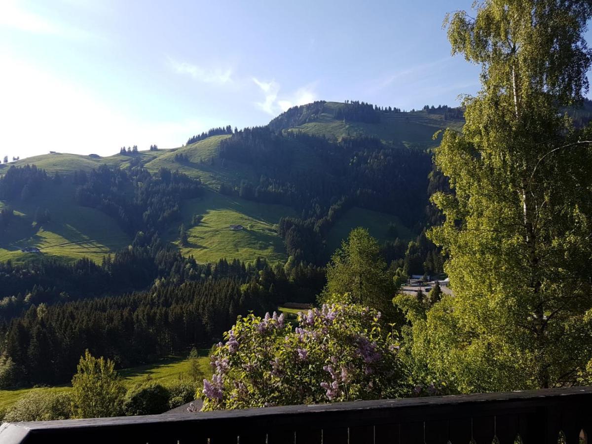 Charming Chalet With Panoramic View And Private Parking In Gruyere Грюєр Екстер'єр фото