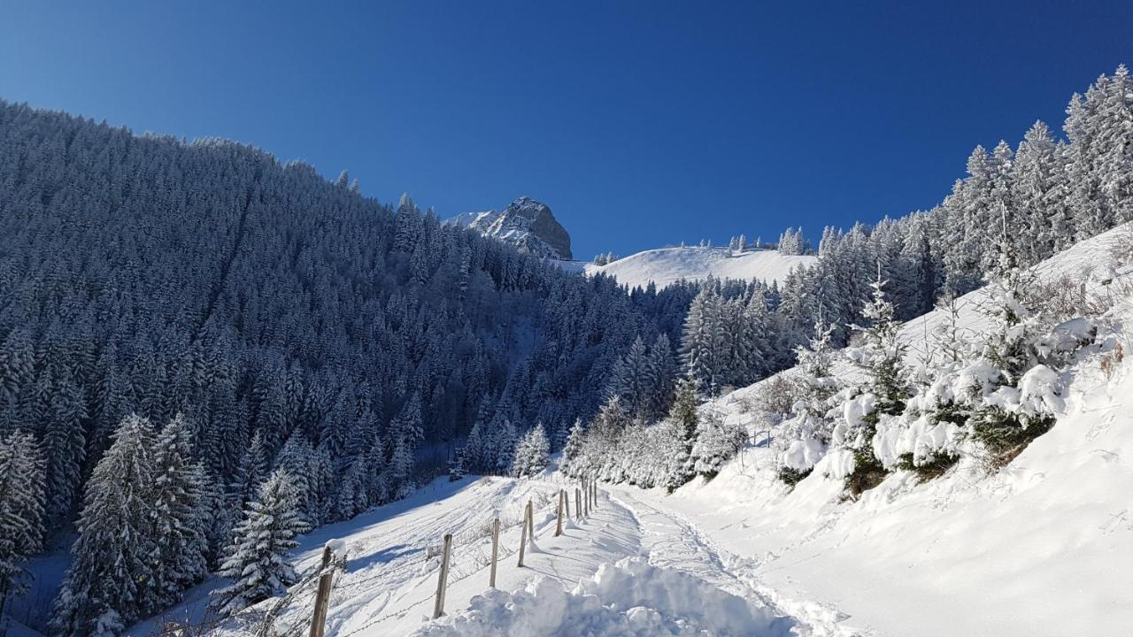 Charming Chalet With Panoramic View And Private Parking In Gruyere Грюєр Екстер'єр фото