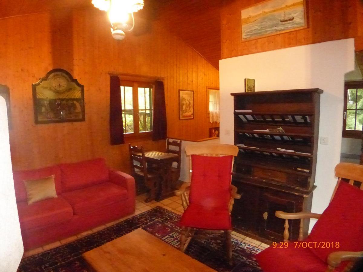 Charming Chalet With Panoramic View And Private Parking In Gruyere Грюєр Екстер'єр фото